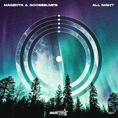 Magenta & Goosebumps - All Night [Clip]