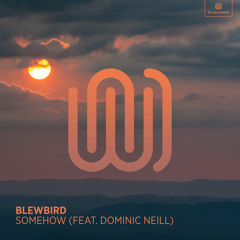 Somehow (feat. Dominic Neill)