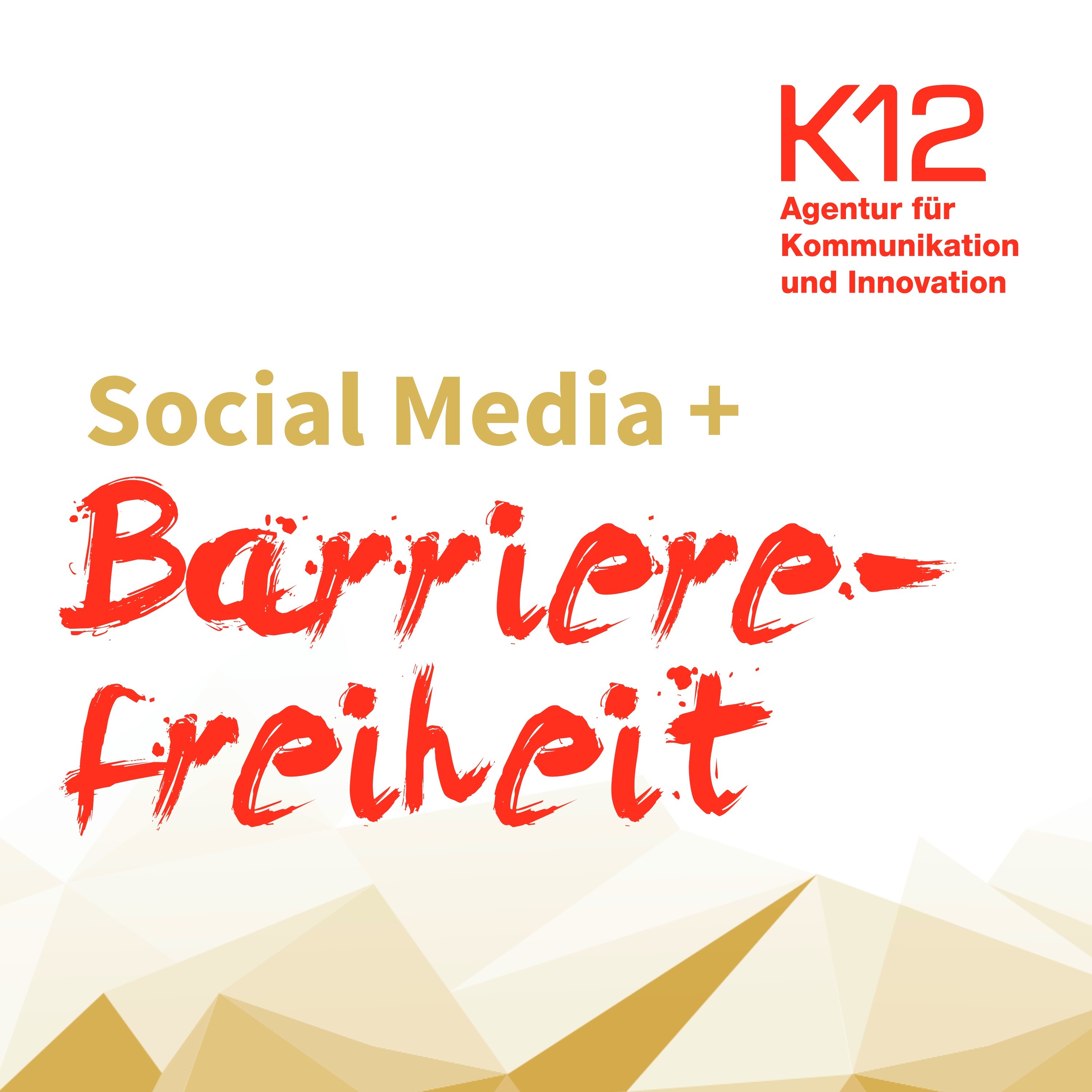 Social Media-Expertenwissen | Der K12 Podcast