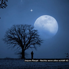 Jaques Raupé - Nachts wenn alles schläft V2