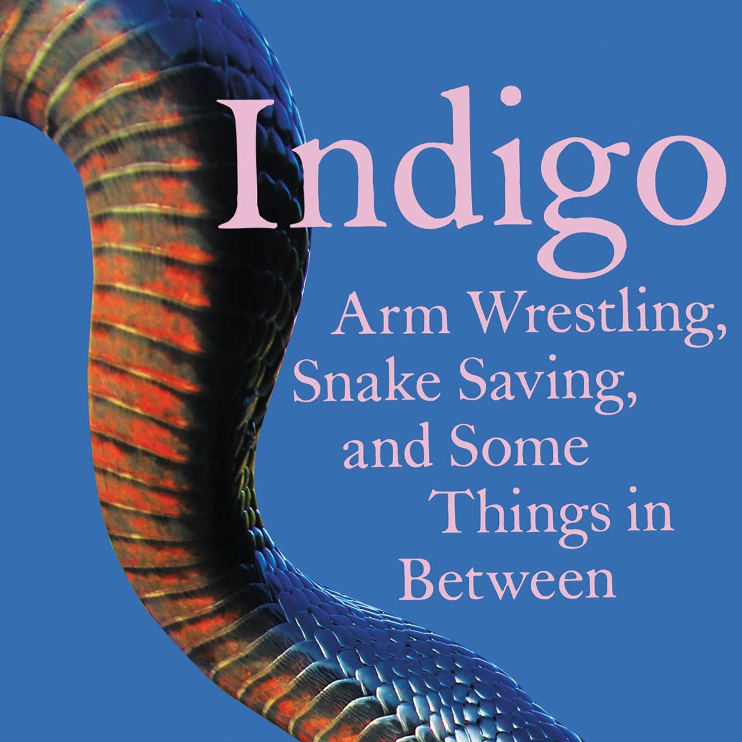 Indigo: Arm Wrestling, Snake Saving, and Some Things in Between by Padgett Powell episode artwork