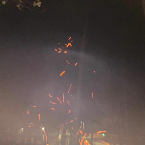 Somehow, we were able to get the fire started even though the wood was wet...