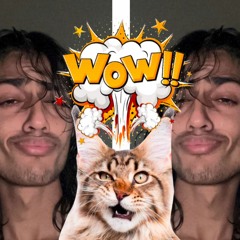 WoW MEoW