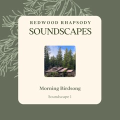 Morning Birdsong
