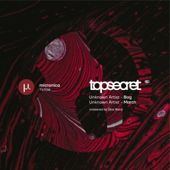 Unknown Artist - Bog (Snippet) [TST016]