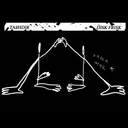 TASHDIR 〄 Disk Frisk
