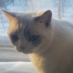 Yeat - Bak on em bass