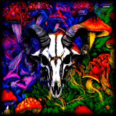 Rogervikz - Fungus Vetus