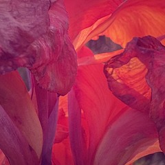 Stream Tomoyuki Asakawa (朝川朋之) - Endless Tide (ゆくえなき夜に