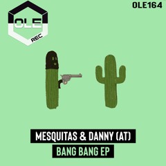 Mesquitas & Danny (AT) - Porque Sera (Extended Mix) Snippet
