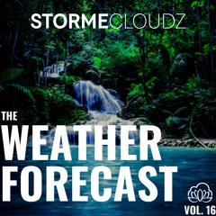 Weather Forecast Vol. 16