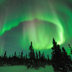 “NORTHERN LIGHTS” 💫