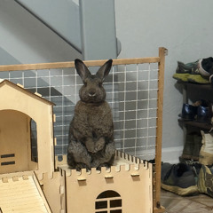 Today I walked... (Kal Marks cover)