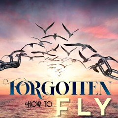 Forgotten How To Fly