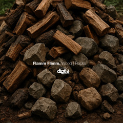 Flamm Flimm - Rocks (Original Mix) | Stripped Digital