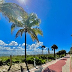 Sasha Ventura - Midday In Palm City