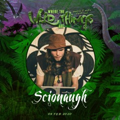 Scionaugh @ Where the Wild Things are 2020 (Earth stage)