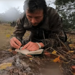 jade colocasia "4923765026794385670329847523904875" prod dvs3 jadeblades