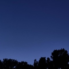 دلکش-عاشقم من(Slowed & Reverb)