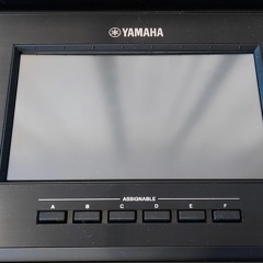 Yamaha Psr Sx - 900 ElectroPop