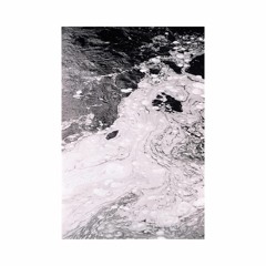 PREMIERE: Concierge - Sentinel [CON002]