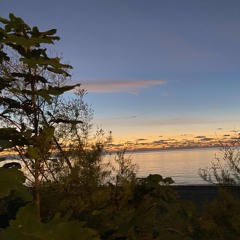 Love Jazz  (Pulling records from the shelves)