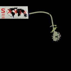 Eclectic Floating Radii, an Improvisation (ft Nina Sobell)