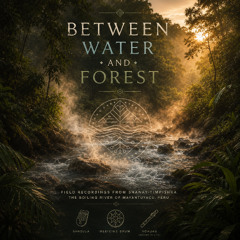 Between Water and Forest