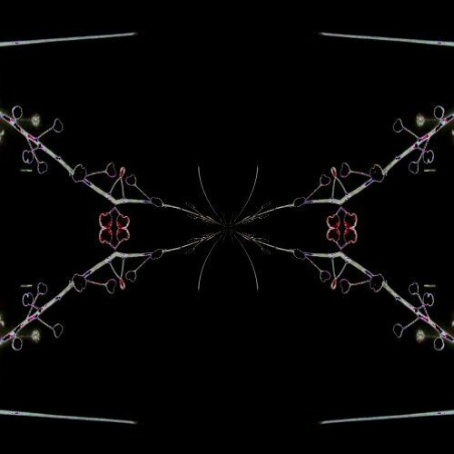 Dark Chambers of the Night