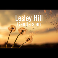 Gentle spin