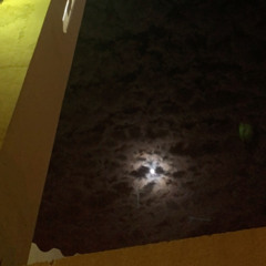 " يا طول ليل المحبه .. سارية ما برا ".