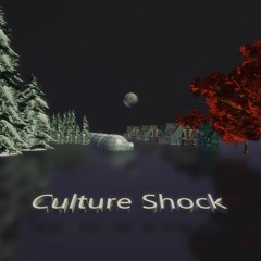 Culture Shock