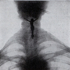 Fastlife over designer (SterlDubai)