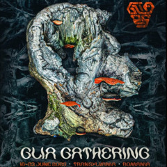 Pi Live set   Glia Gathering 2025