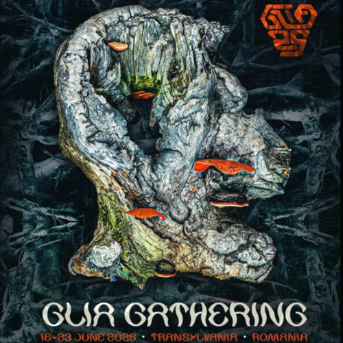 Pi Live set   Glia Gathering 2025