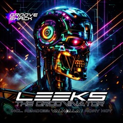 Leeks - The Groovinator (GSR029)