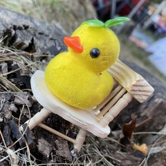 50 Carrot (Medicine Place) X SlickBack (Whiskerz x Frankie Dixon) X Milkwalk (Milk)