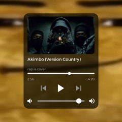 ZIAKOUNTRY Akimbo