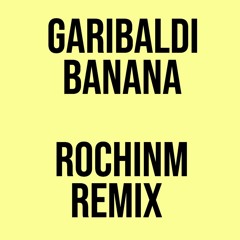 Garibaldi - Banana (ROCHINM REMIX)