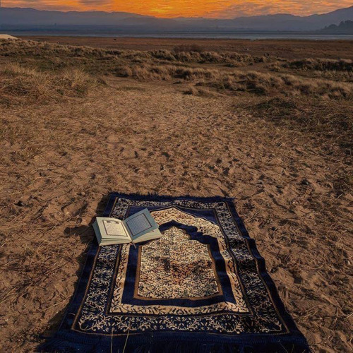 رَبَّنَا مَا خَلَقْتَ هَٰذَا بَاطِلًا سُبْحَانَكَ فَقِنَا عَذَابَ النَّارِ | أحمد النفيس