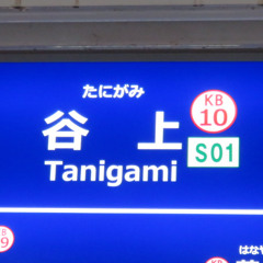 WRIGGLED TANIGAMI