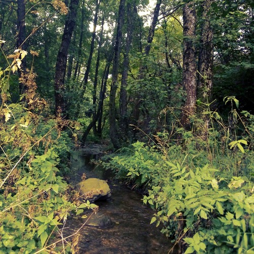 Deep Breakfast 085 - Dimitar Dodovski