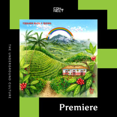 PREMIERE: Fernando Olaya, Giovanny Aparicio - Stardust [Melody Of the Soul]
