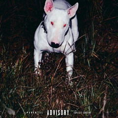 nost no ķēdes ft. Rūdzzz