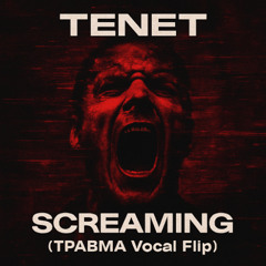 Screaming (ТРАВМА Vocal Flip)