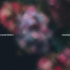 Unsaid