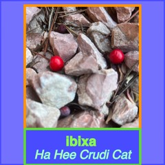 Ha Hee Crudi Cat