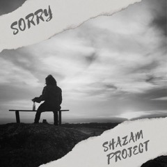 Shazam Project - Sorry  ( free download )