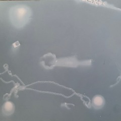 promo minimis for bassket radio