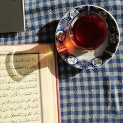 قُلْ أَذَلِكَ خَيْرٌ أَمْ جَنَّةُ الْخُلْدِ الَّتِي وُعِدَ الْمُتَّقُونَ | عمر عبد العزيز